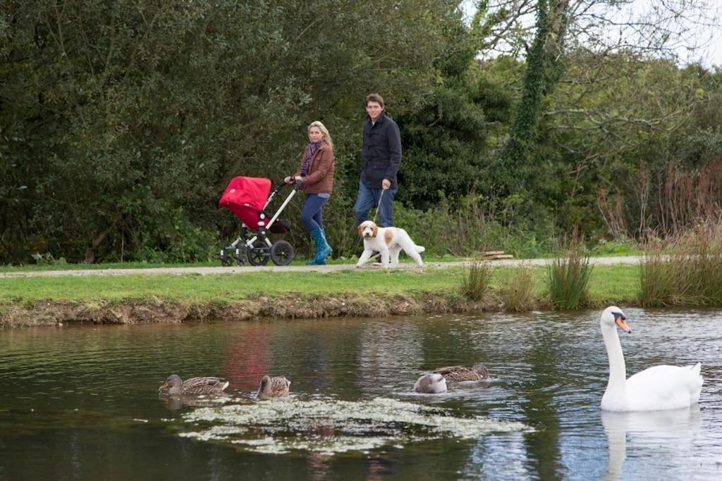 Skylark Sleeps 8 Private Hot Tub & Dogs Welcome Nr Padstow, Resort Pool Bar & Watersports St Columb Major Eksteriør bilde